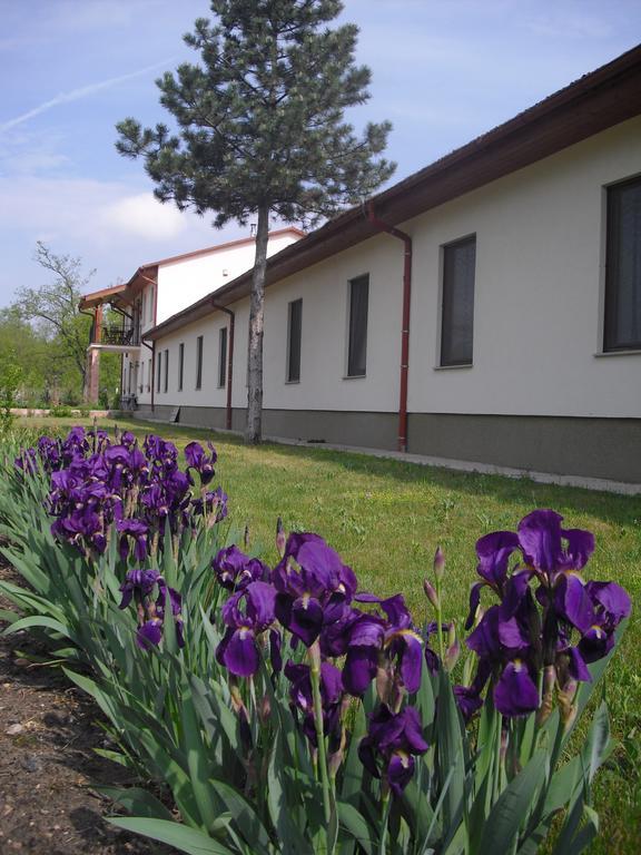 Anna Panzio Hotel Dunavarsany Bagian luar foto